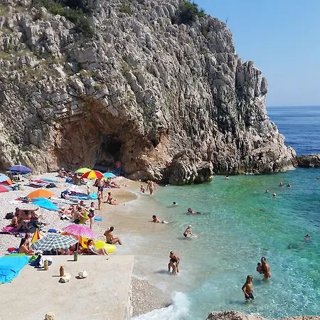 White Brseč